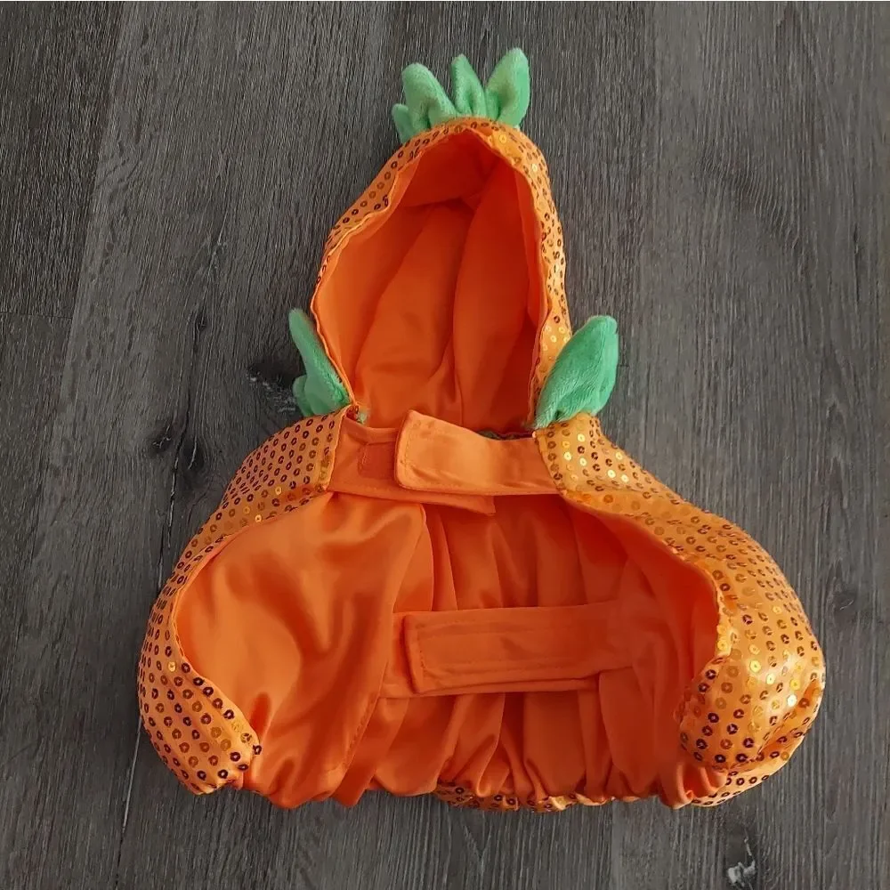 Dog Pumpkin Costume Small
